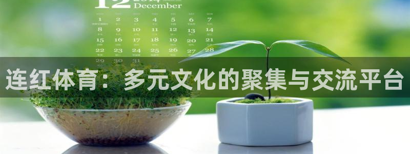 连红体育：多元文化的聚集与交流平台